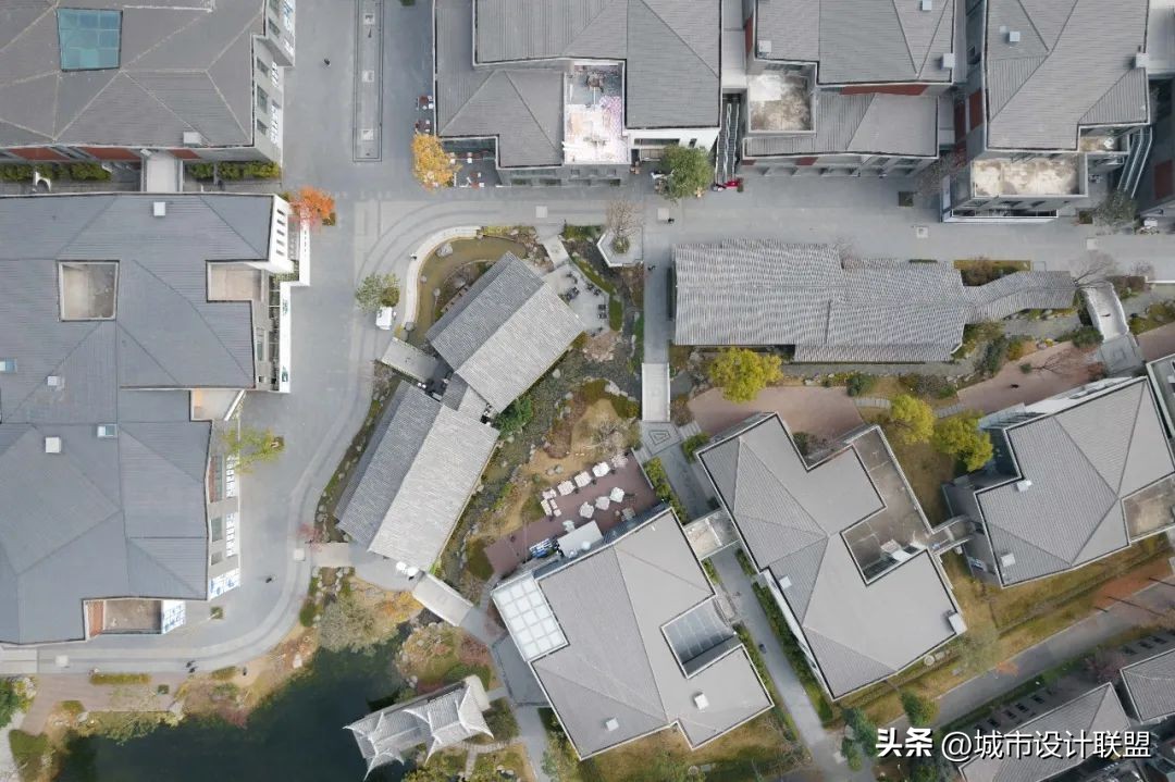 成都值得一游的公园,夏季成都宝藏公园