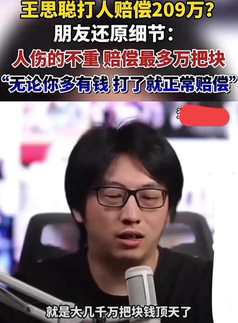 王思聪打人赔偿209万搞笑模板,王思聪打人赔209万真的假的