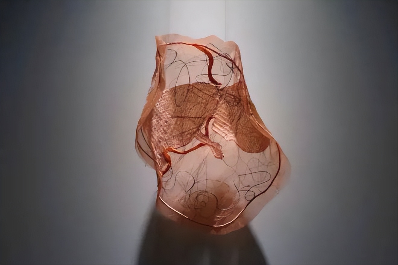 24岁女孩缝出巨型子宫，请人走进去，感受被母体包裹的温柔