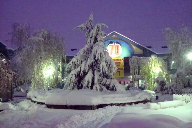 浙江农家女在塞尔维亚十年创业，经历了偷渡打工经商未婚生子