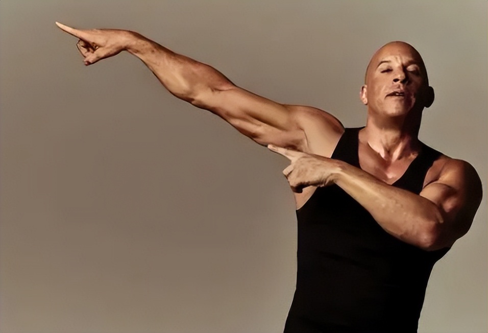 范迪塞尔是个什么样的人,范迪塞尔到底是什么人