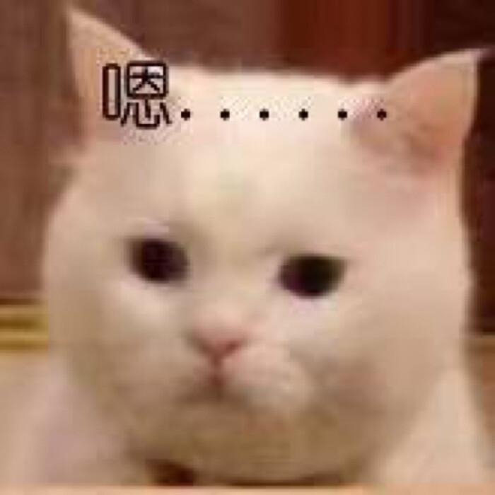 先别冲！原来你是这样的——“便便”