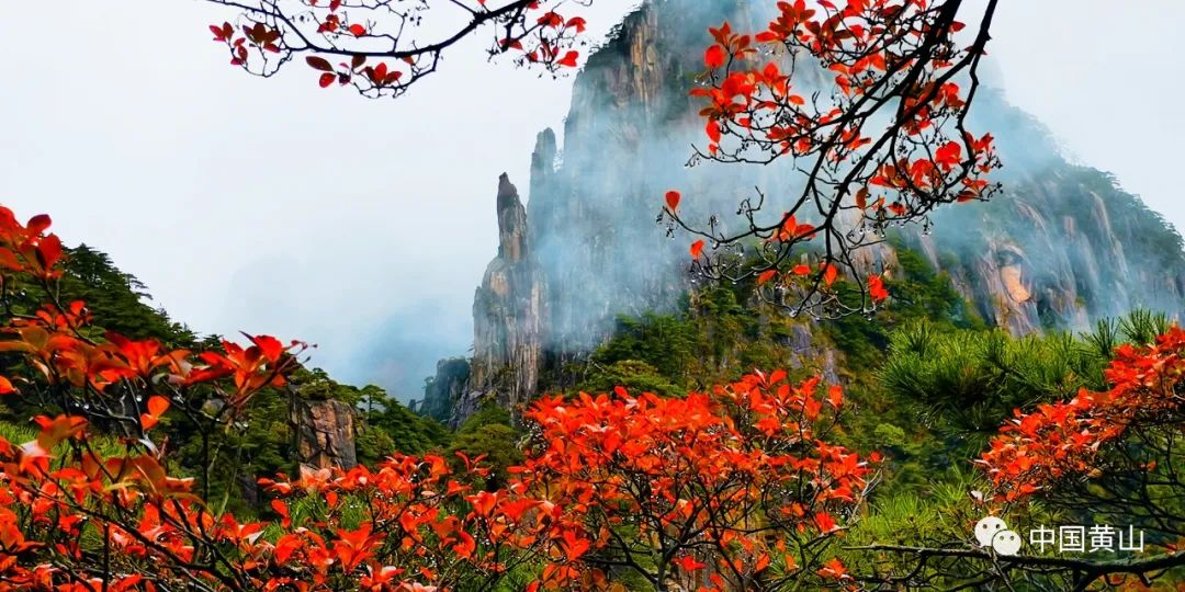 歙县记者节,记者采访风景视频素材
