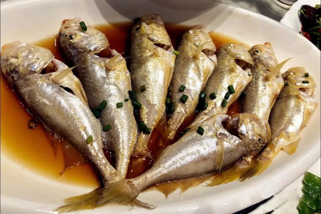 真吃不下了,这个靠海吃海的小县城怎么就能这么好吃