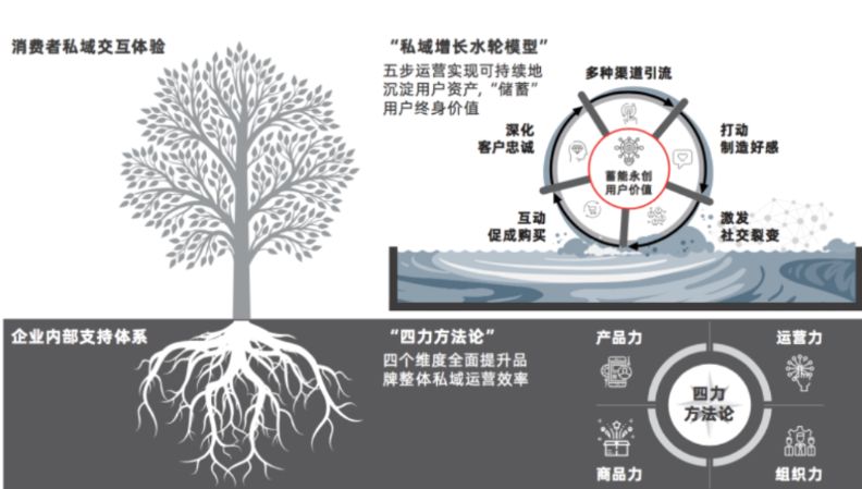 怎么转化粉丝到私域,私域怎么把没用粉丝剔除