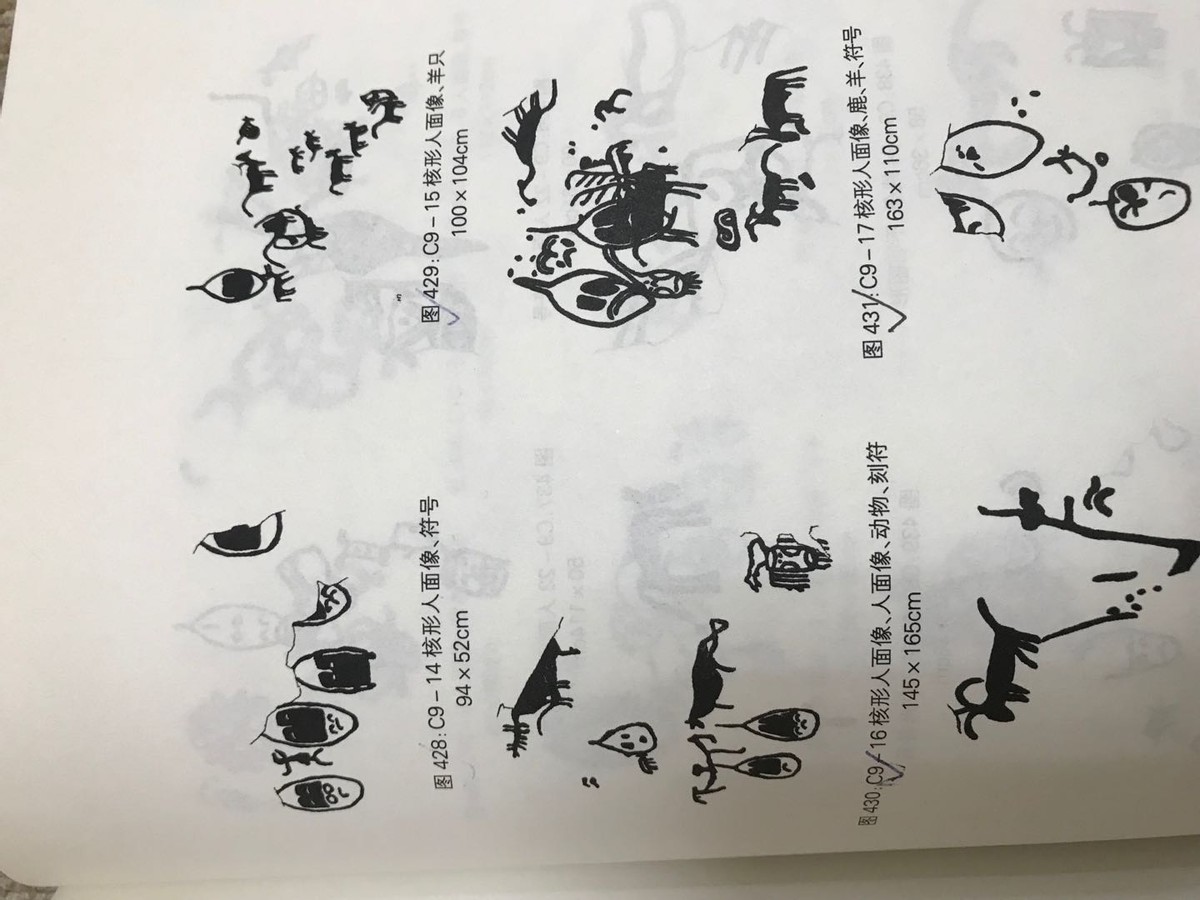 人类起源新说,人类起源新论完整版