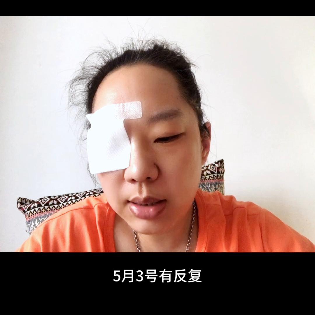 坚持不懈的猫咪,超级加油努力的小猫