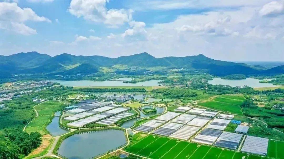 张家港农场网红打卡,周边农场网红打卡点创意