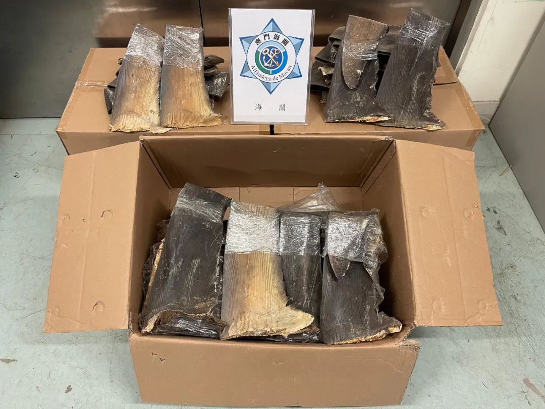 警查持刀男，捣工厦水货仓