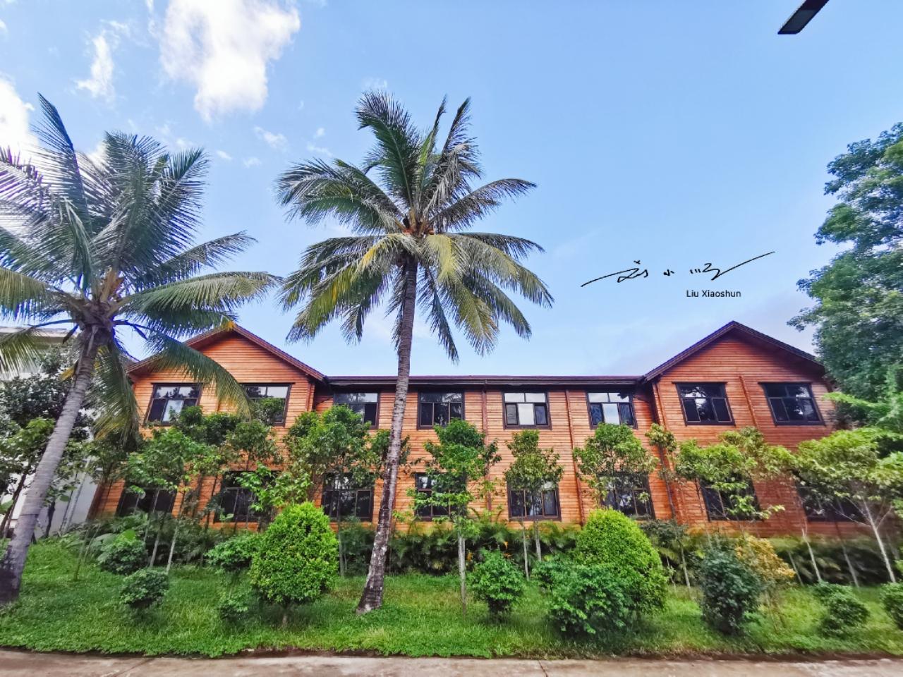 三亚的森林公园是哪个,海南三亚森林公园