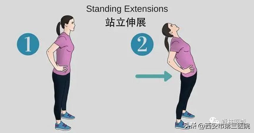 五分钟带你看懂腰椎间盘突出,腰椎间盘全面讲解及调理方法