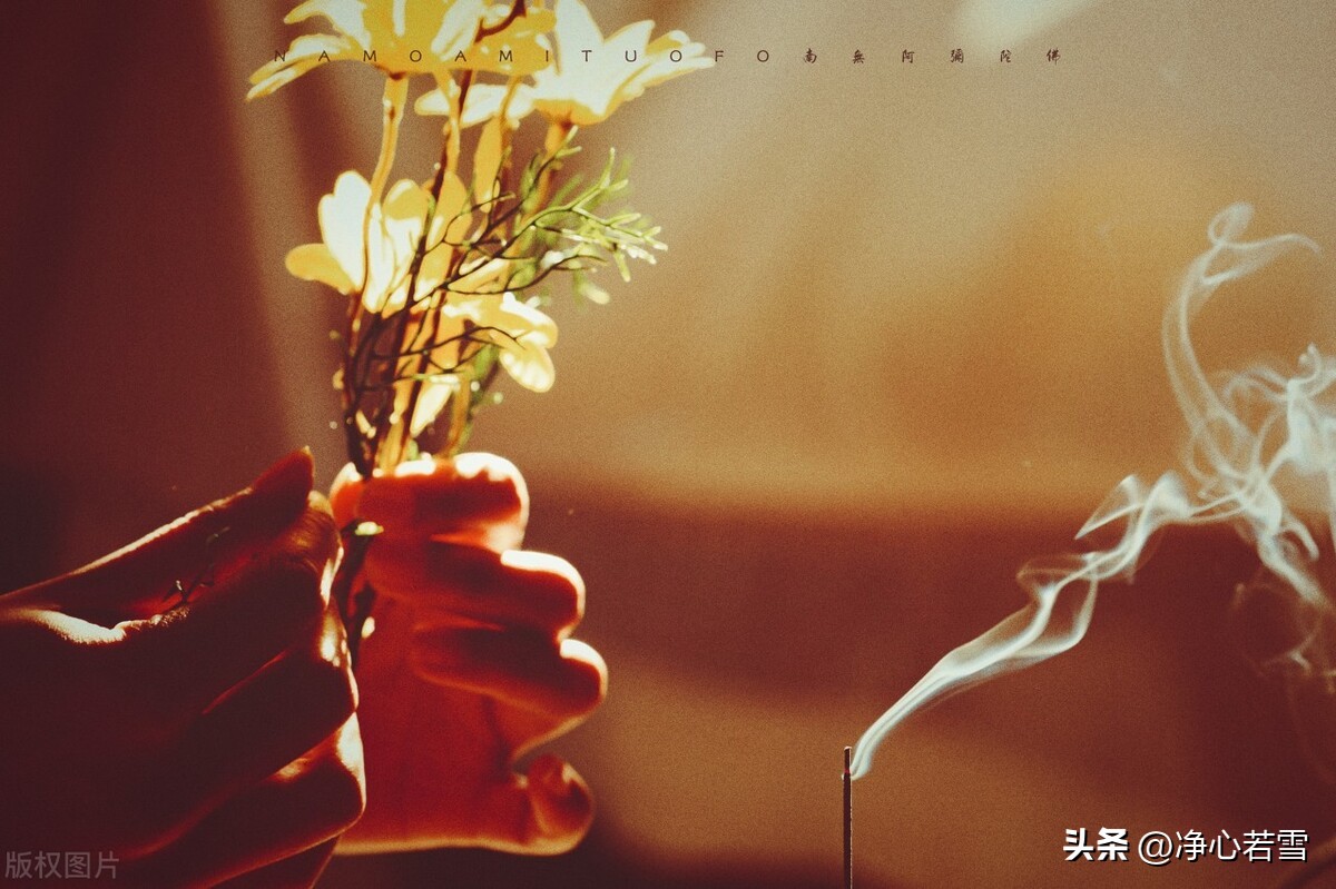 妙乐师父和虚云,虚云老和尚弟子妙乐法师