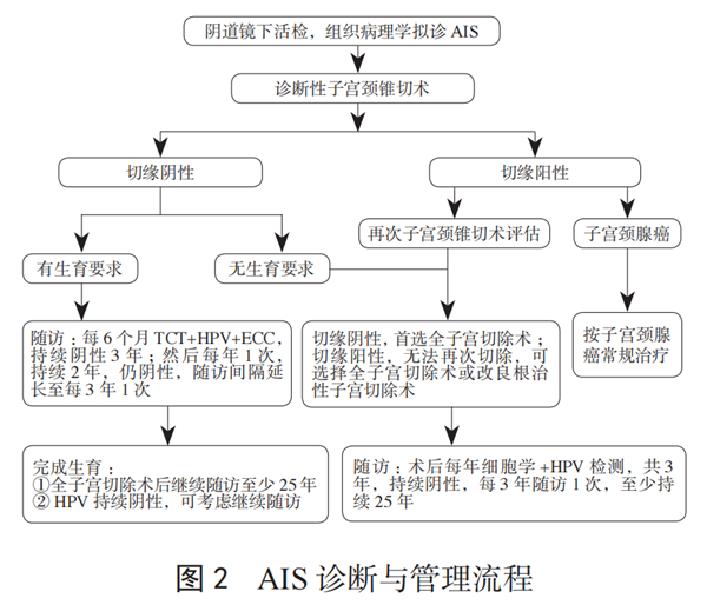 派特灵派特生物精选｜CIN的规范化诊治