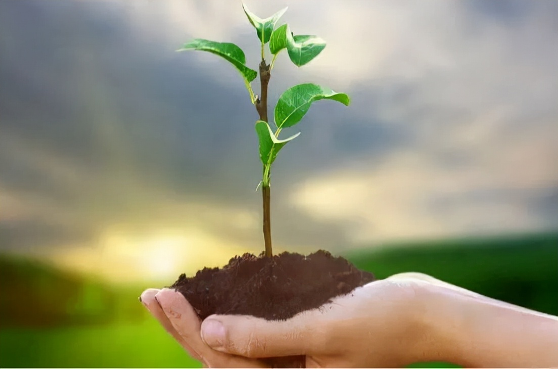 家属想放弃治疗但医生不让怎么办,家属放弃治疗医院怎样处理