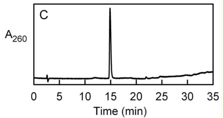 探究移动色氨酸是*霉素黄**抗生素合成黄素酶中内在电荷转移供体应用