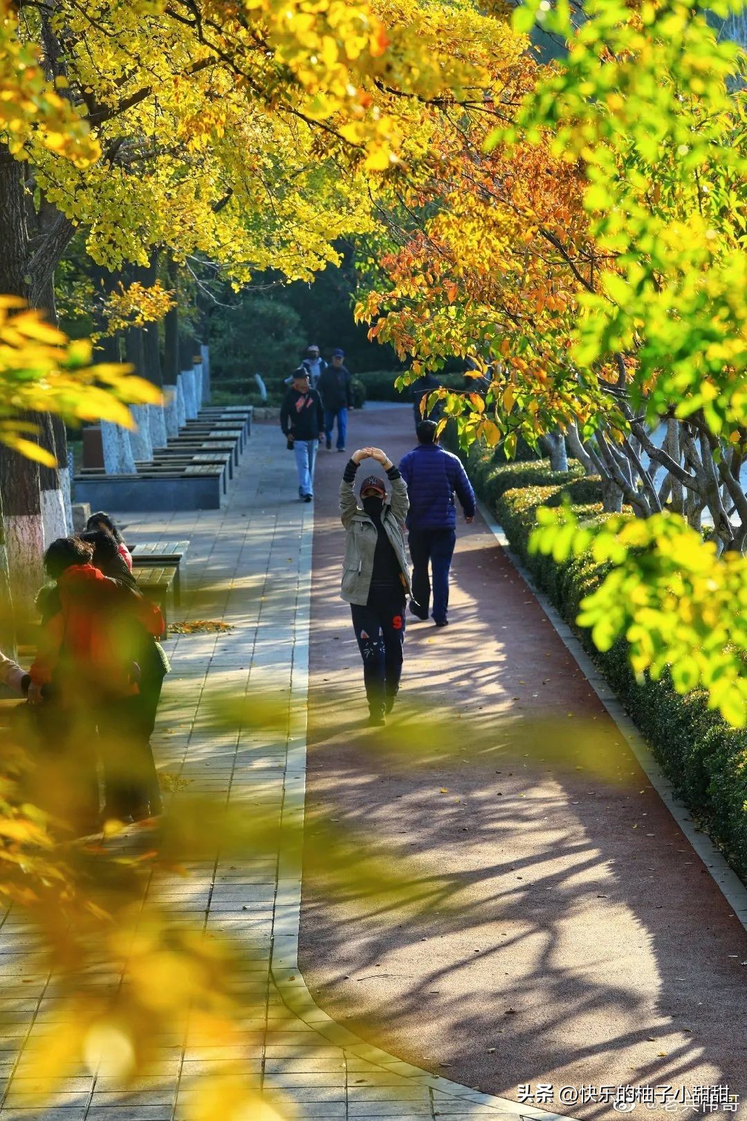 均温22℃，北方这座海滨避暑第一城，去一次相当于环游世界