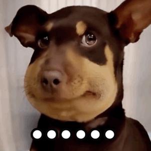 2022年四川行测真题及答案解析,2019年广东省考行测真题答案