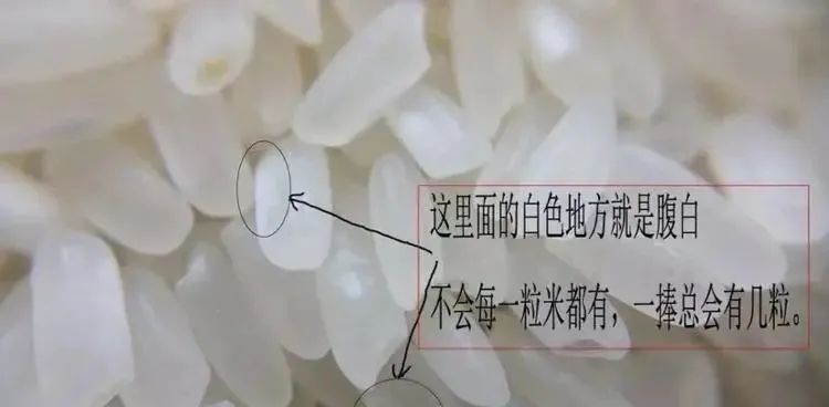 大米中间有白色的是什么情况,大米最忌三个地方是什么