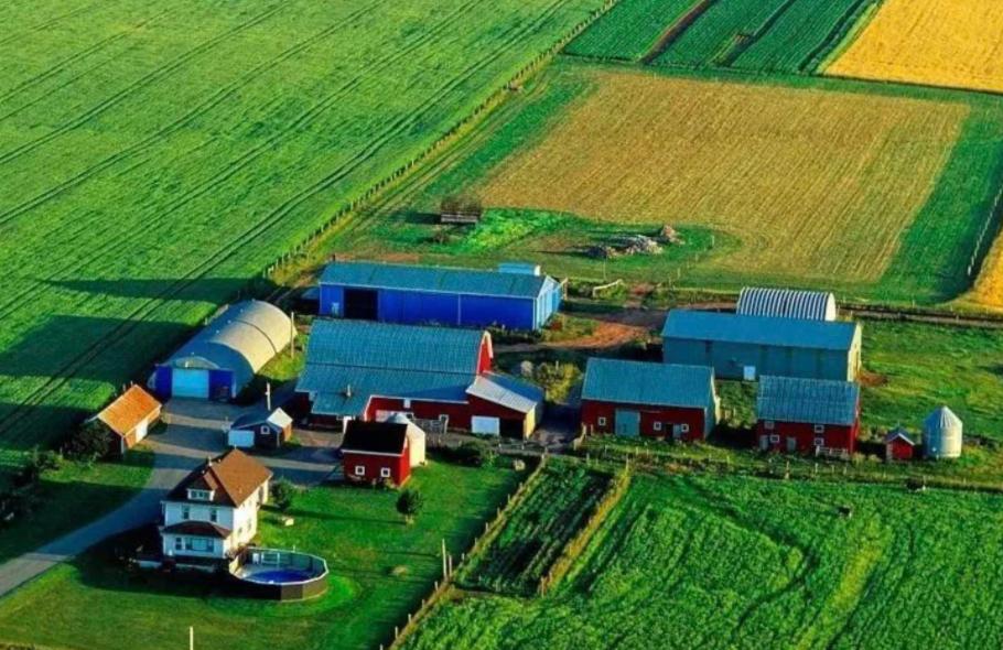 小山村种出了“院士菜”专家院士播下致富种子外出年轻人回乡创业