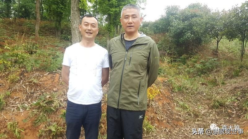 《侯海洋基层风云》无奈的巴山政府办主任杨春