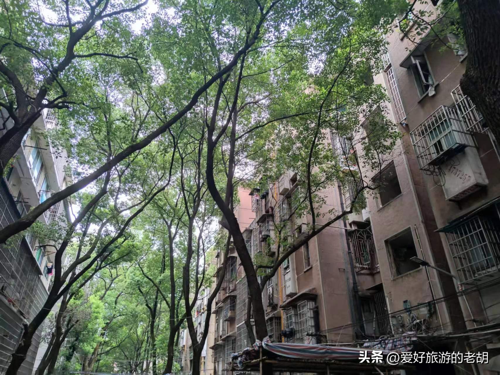 搬到长沙后破产的国企，职工家属区宛如小镇，环境依旧令人羡慕