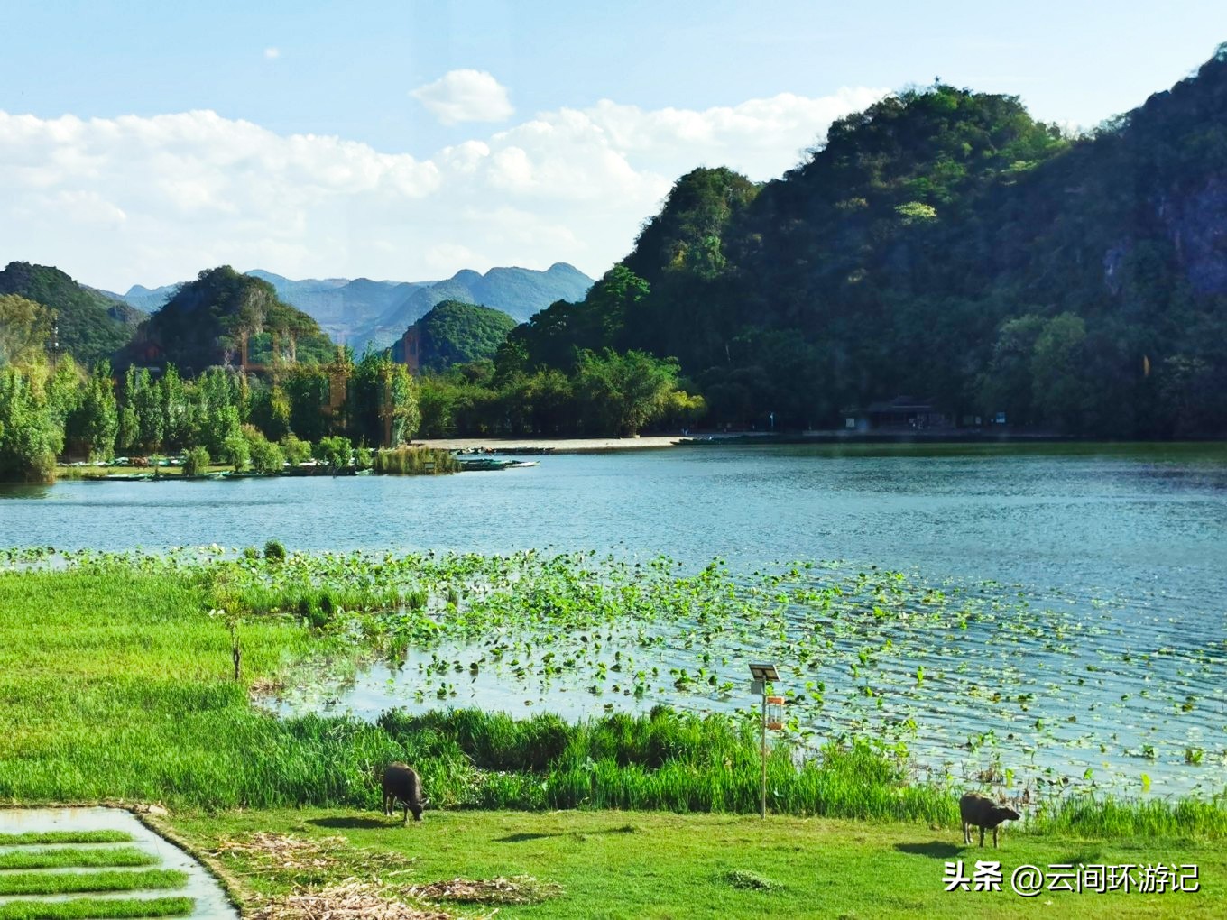 「流离在核酸检测时代的旅行」(普者黑）