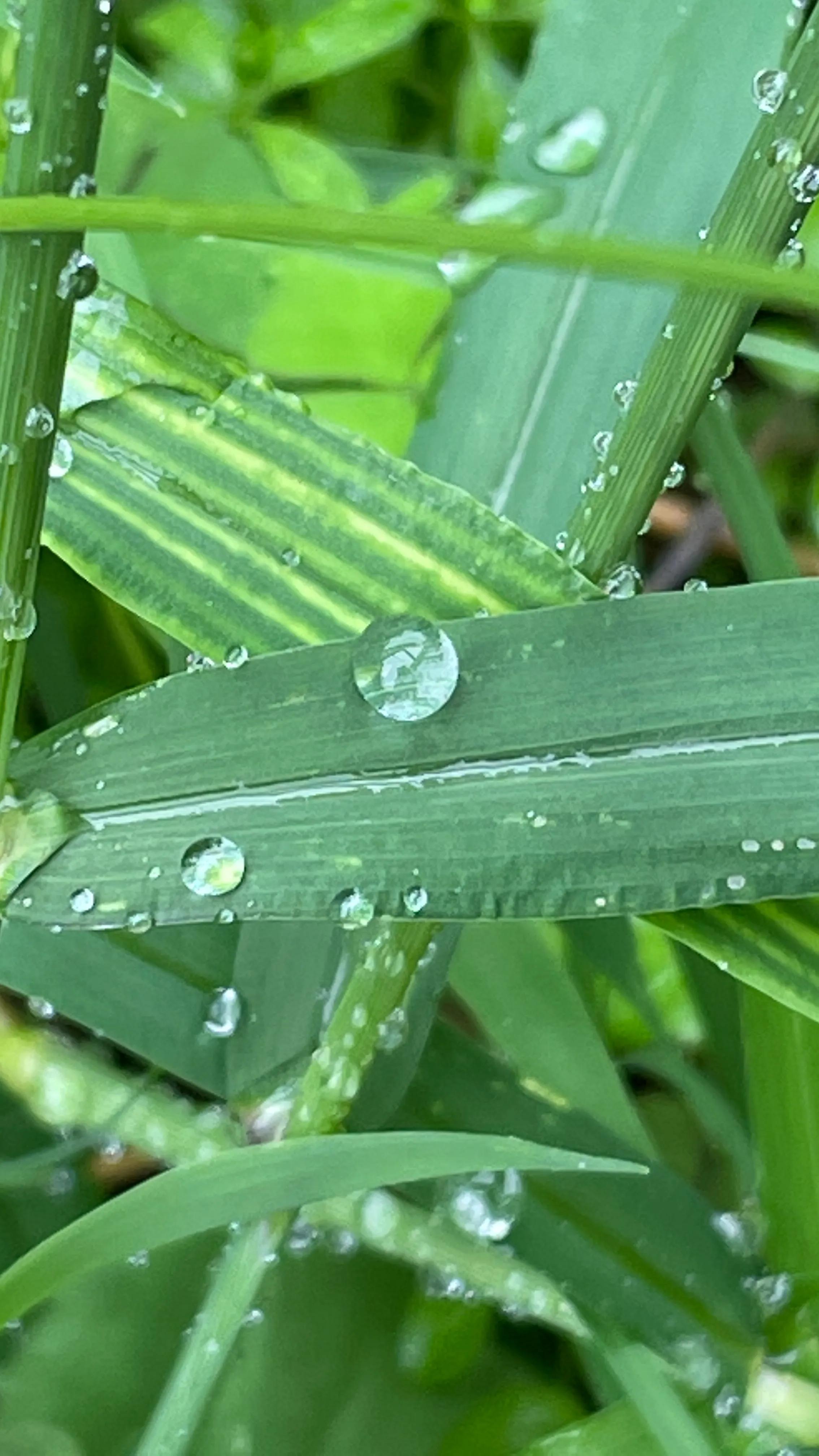 拍拍贷申请条件,拍拍贷案件通知是真的吗