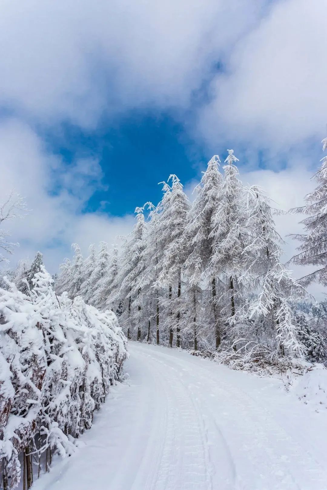 湖北恩施夏季热吗,湖北恩施人间仙境图片