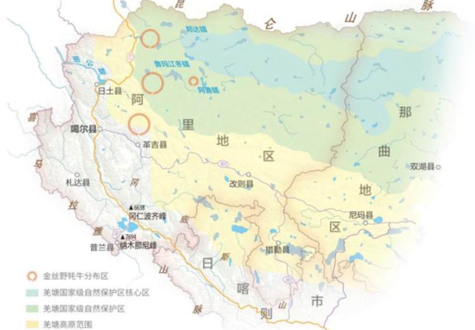 全球不足百头的动物,全球数量不到100只的动物