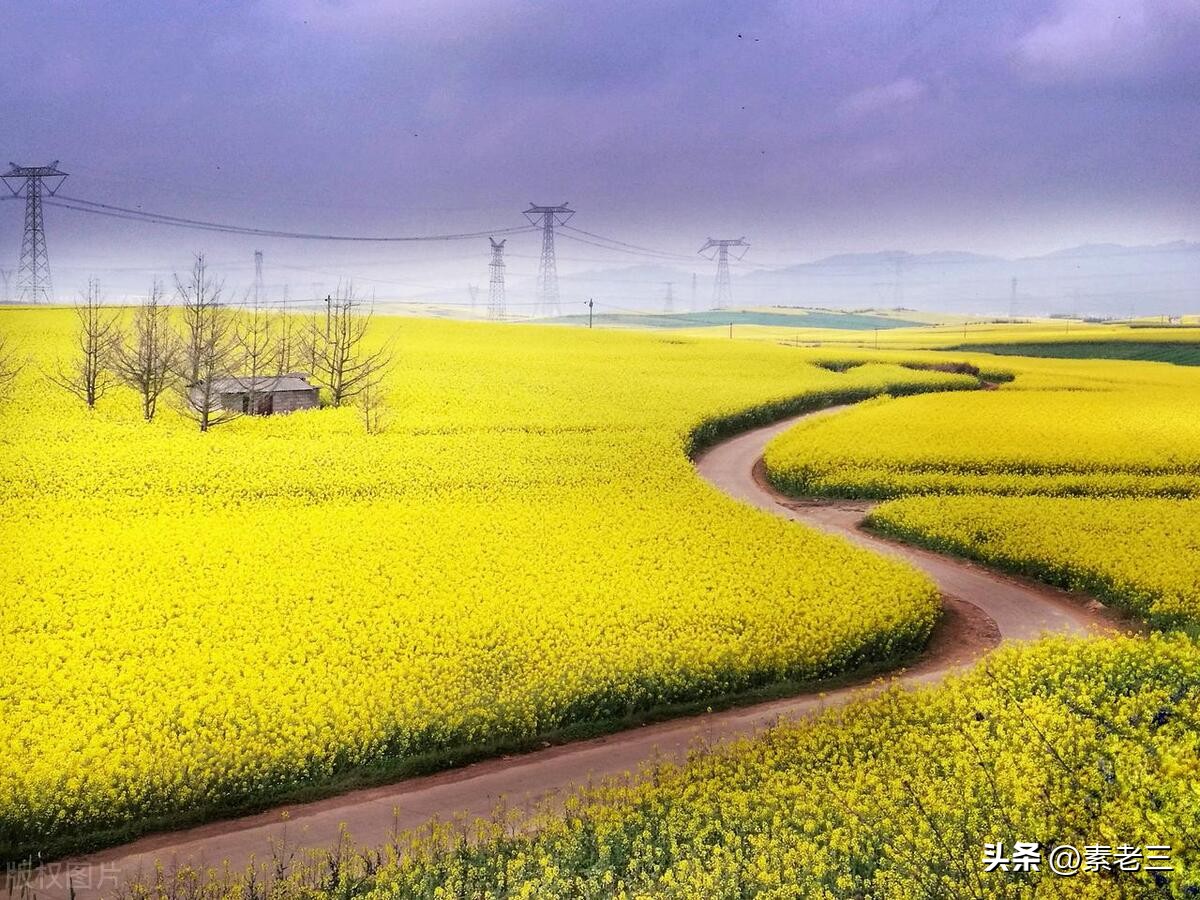 女作家去做保姆——保姆的秘密(671)