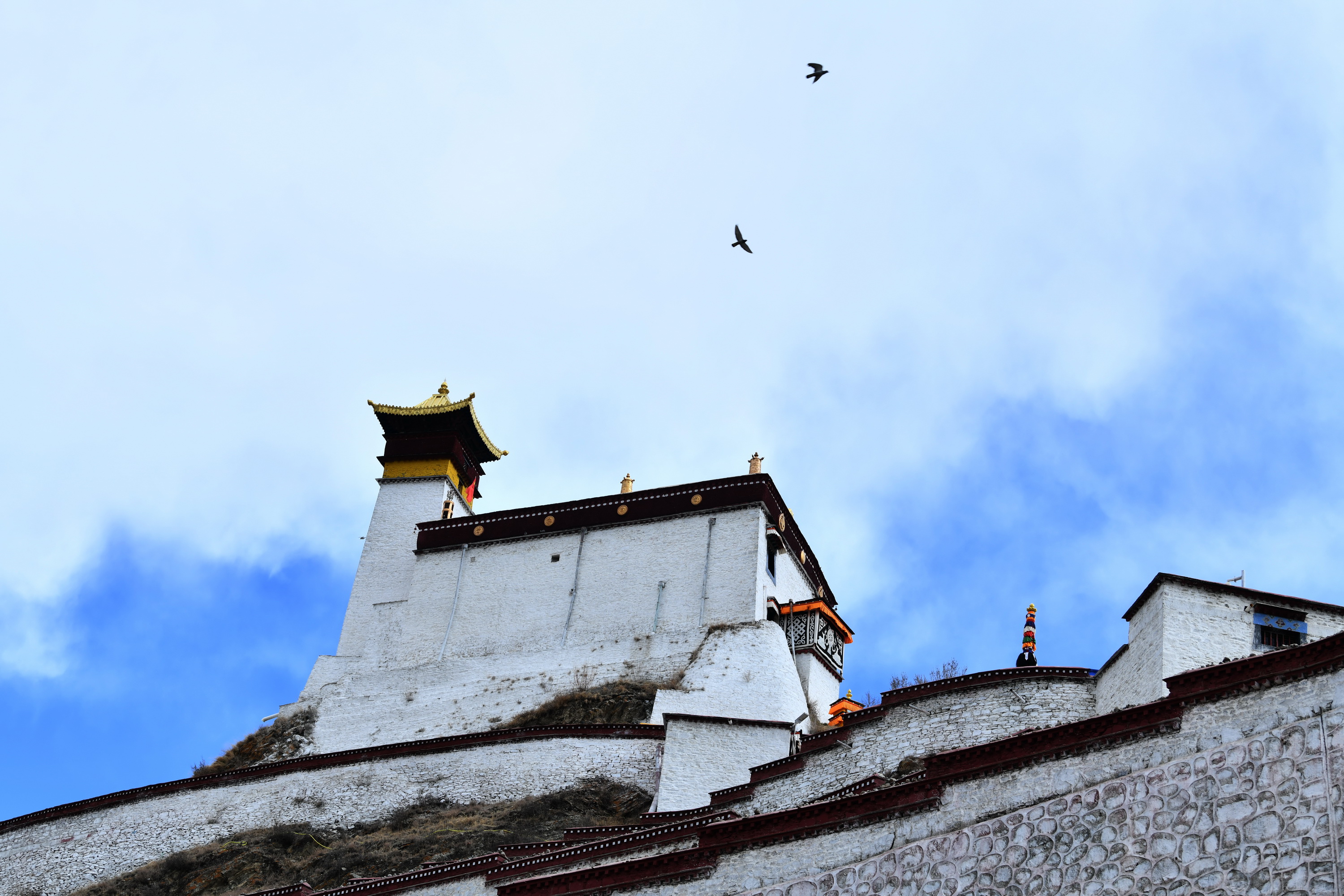 我的林芝一日游攻略,林芝看桃花西藏之旅