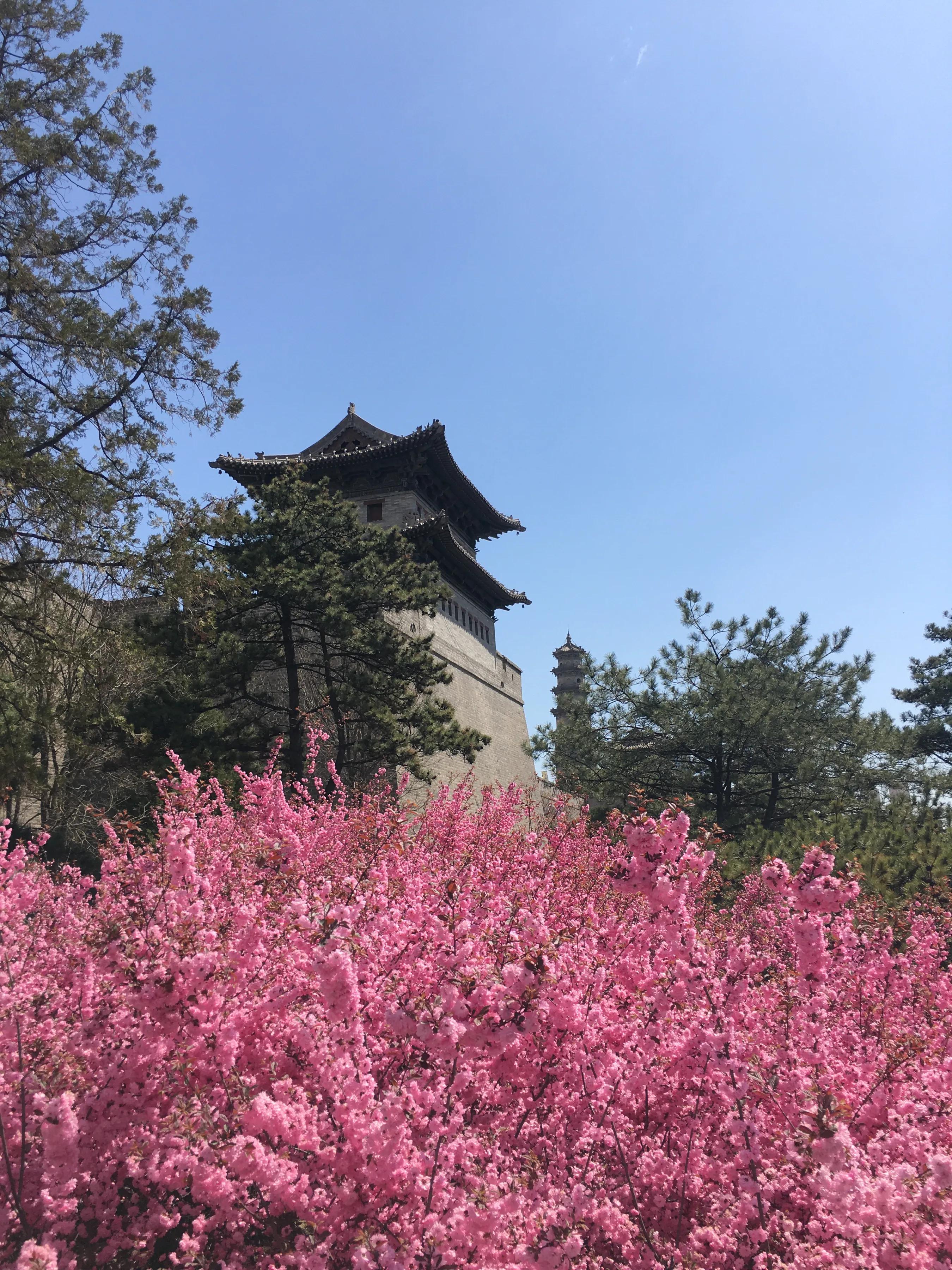 大同人自黑五一假日,不是所有人格局够大,根源是压抑情绪的爆发