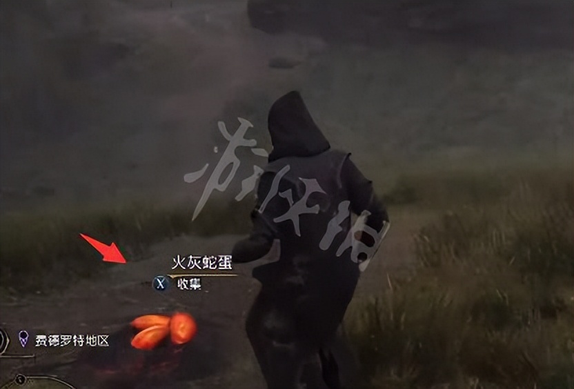 霍格沃茨火灰蛇蛋怎么获得,霍格沃茨遗产火灰蛇蛋在哪收集