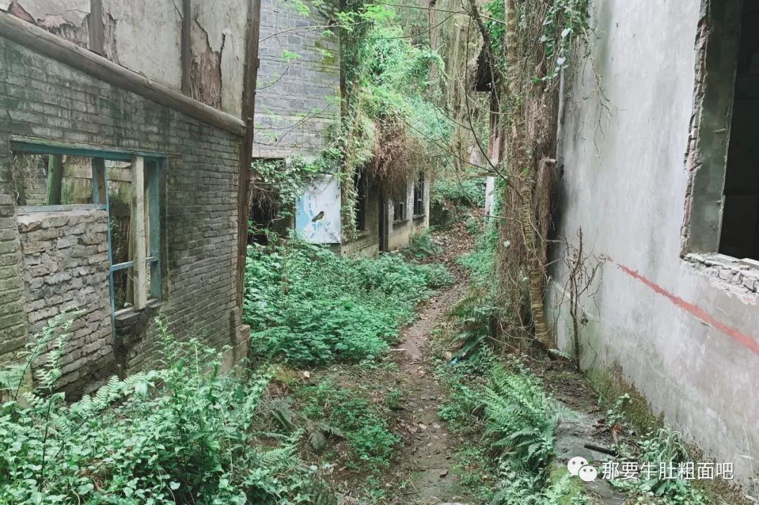 以前的自贡内江,自贡记忆