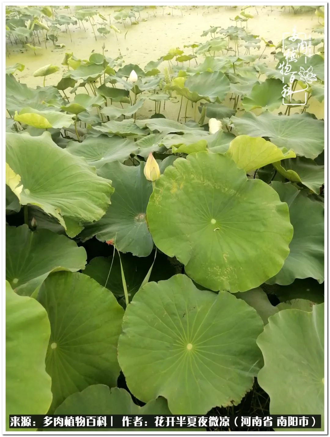 万事开头难只要坚持才有收获,万事开头难只要肯干就会有结果