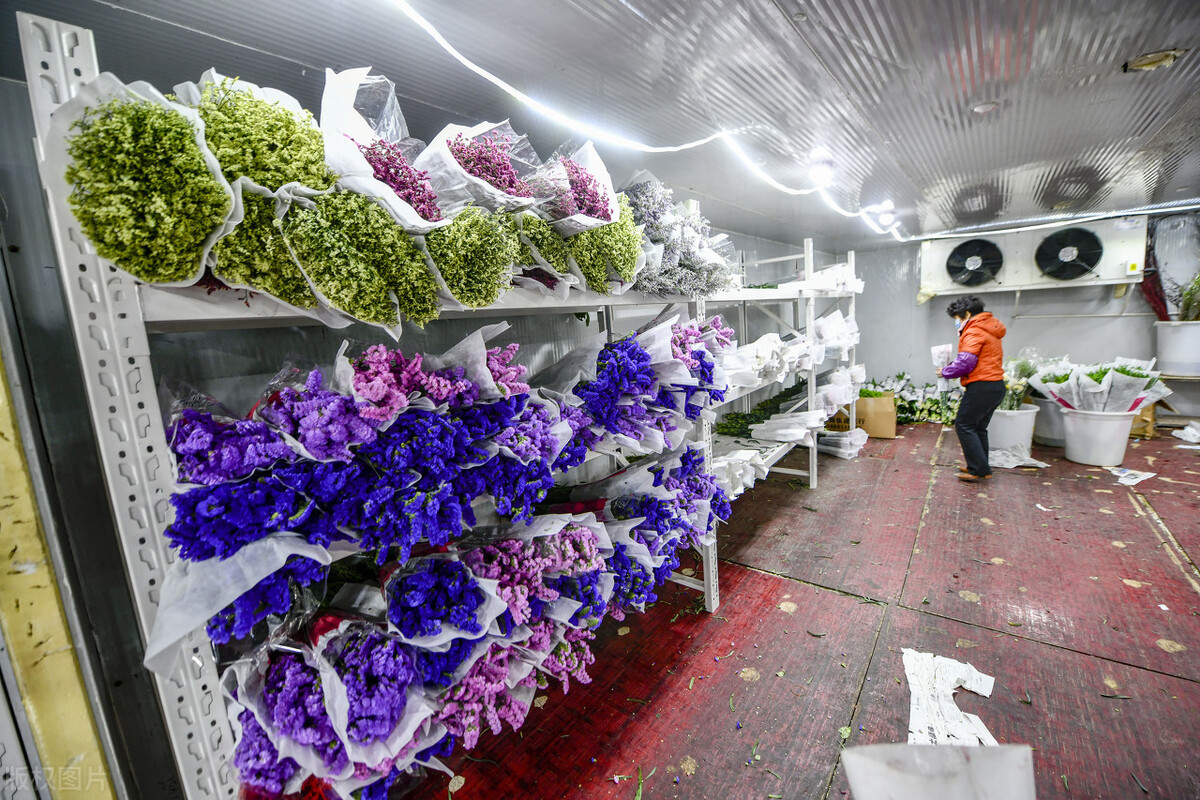 花卉批发市场有哪些种类,花卉批发前景