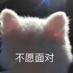 给你花花表情包,给你花花表情包啥意思