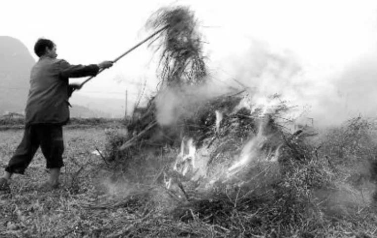 小儿支气管炎呼吸系统症状和体征,支气管炎是属于呼吸疾病吗