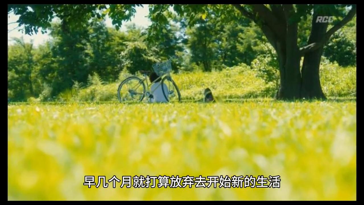 陀漫丽山与冰晶紫湖之间，一块四季如春的盆地