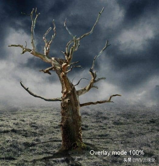 在Photoshop中创建带有月亮的树的超现实图稿，VV云课堂教程