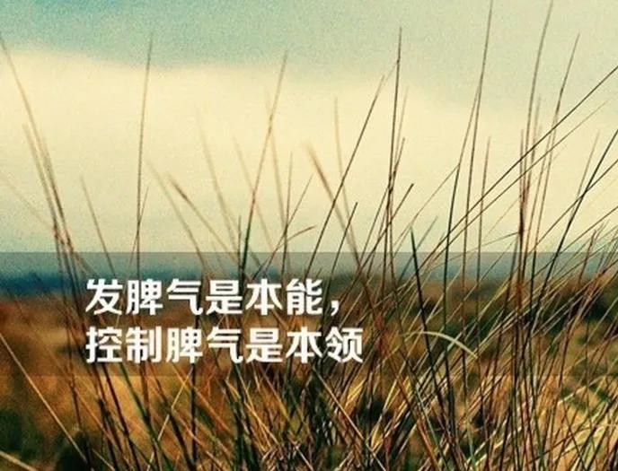 太矫情的女人会让人反感,面对这样矫情的女人你怎么办