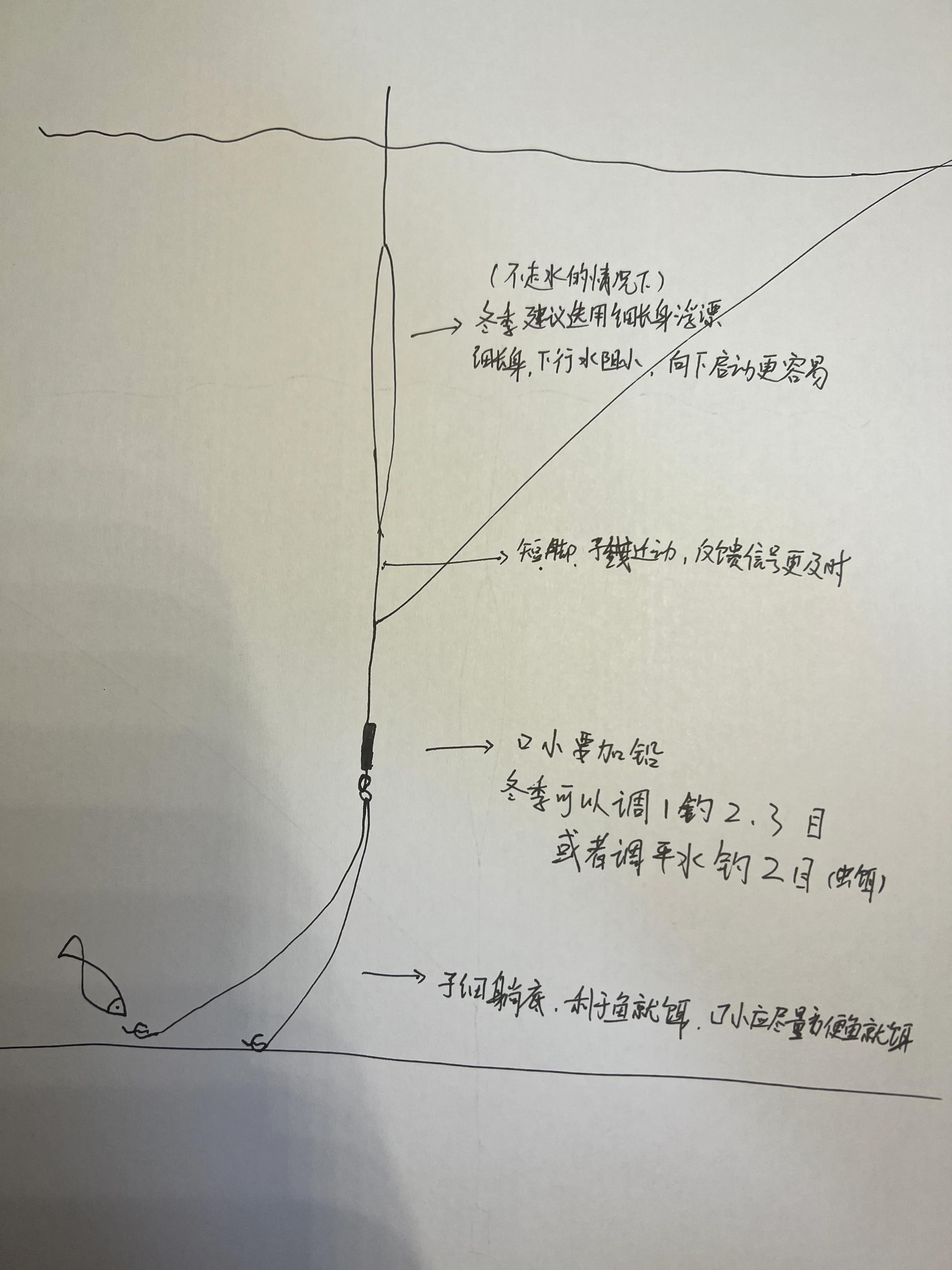 化老师钓翘嘴饵料,化老师调高钓低