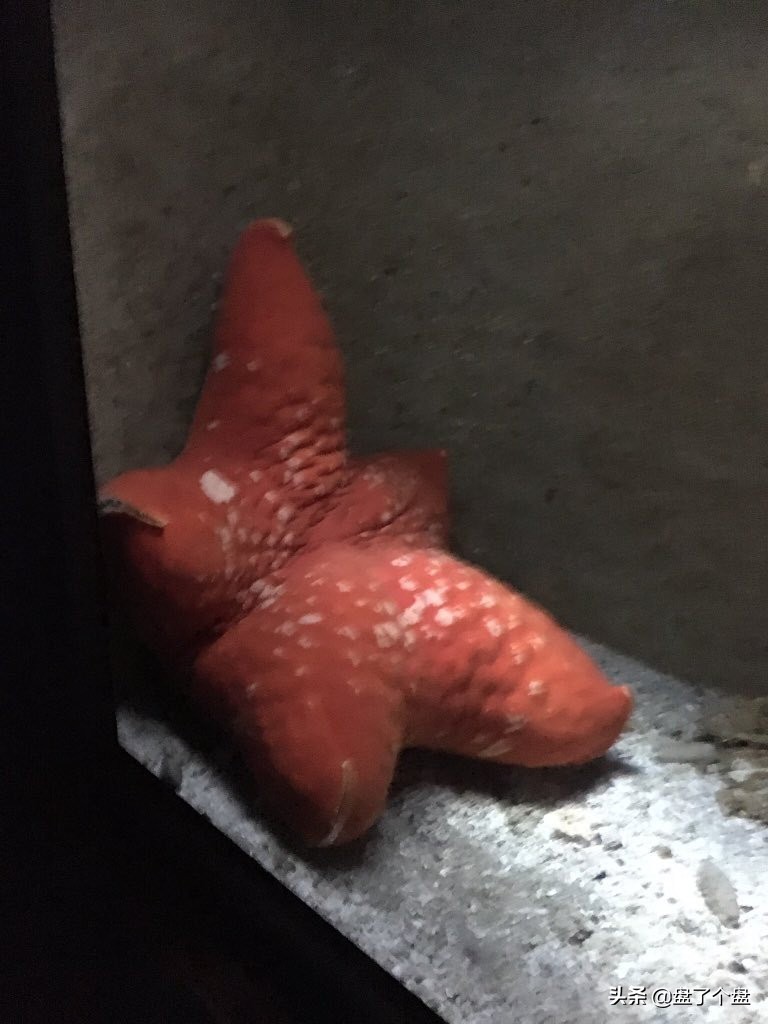 每日一笑段子集,每日一笑段子