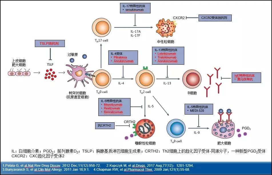 哮喘的诊断与治疗指南pdf,哮喘的监测和护理