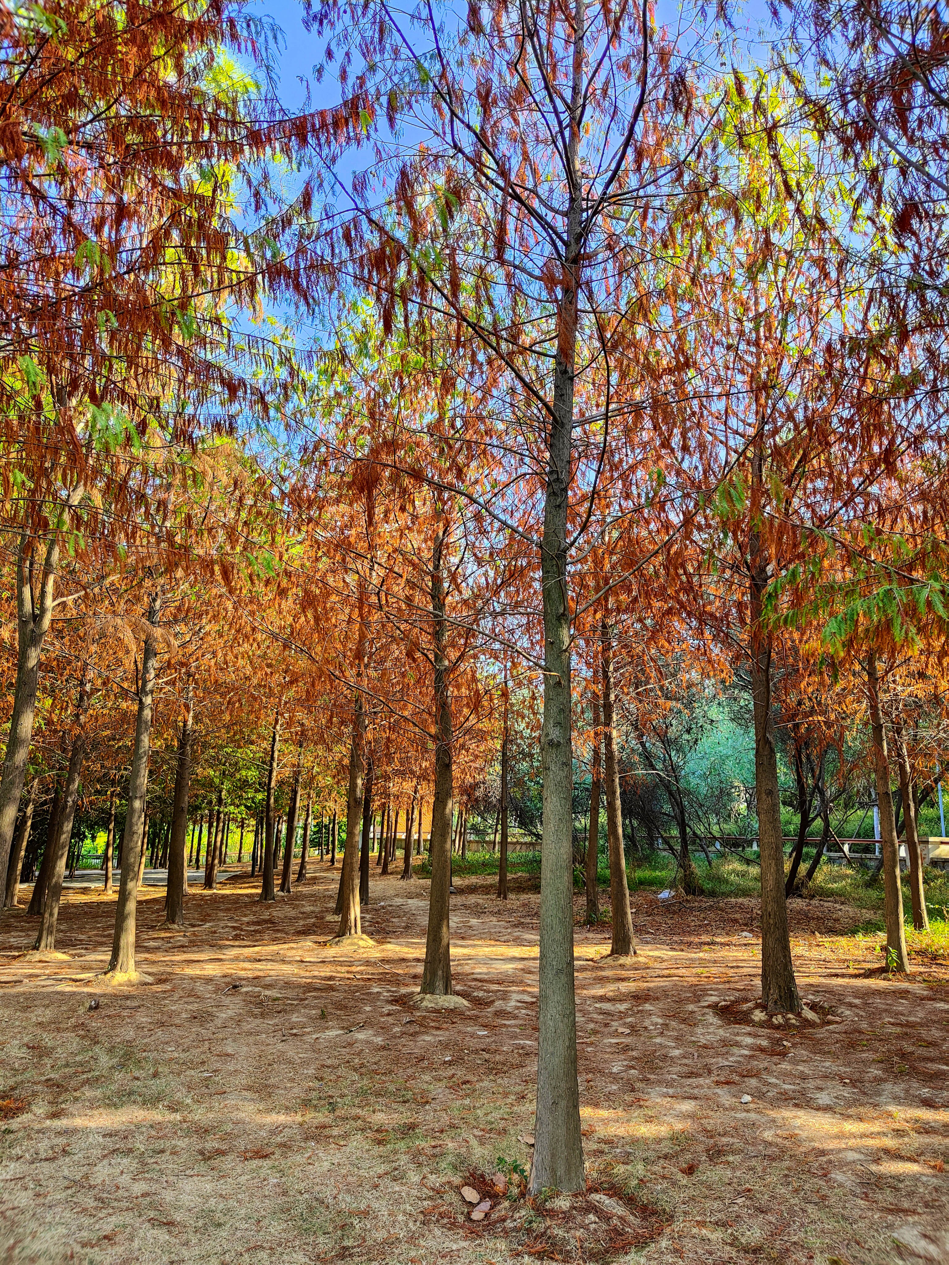 福州三江口网红打卡景点,福州三江口公园游玩攻略