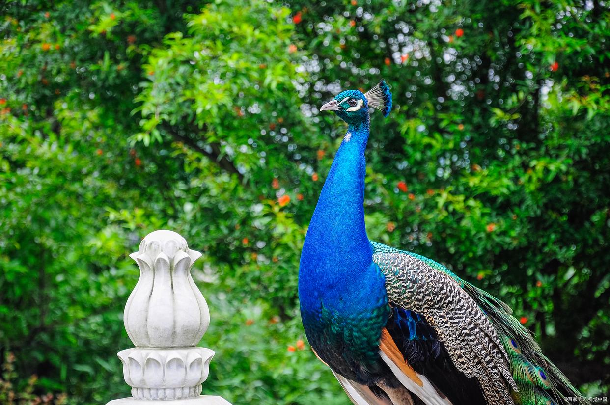 昆明旅游攻略绝美景点有哪些,昆明旅游攻略景点推荐理由大全图