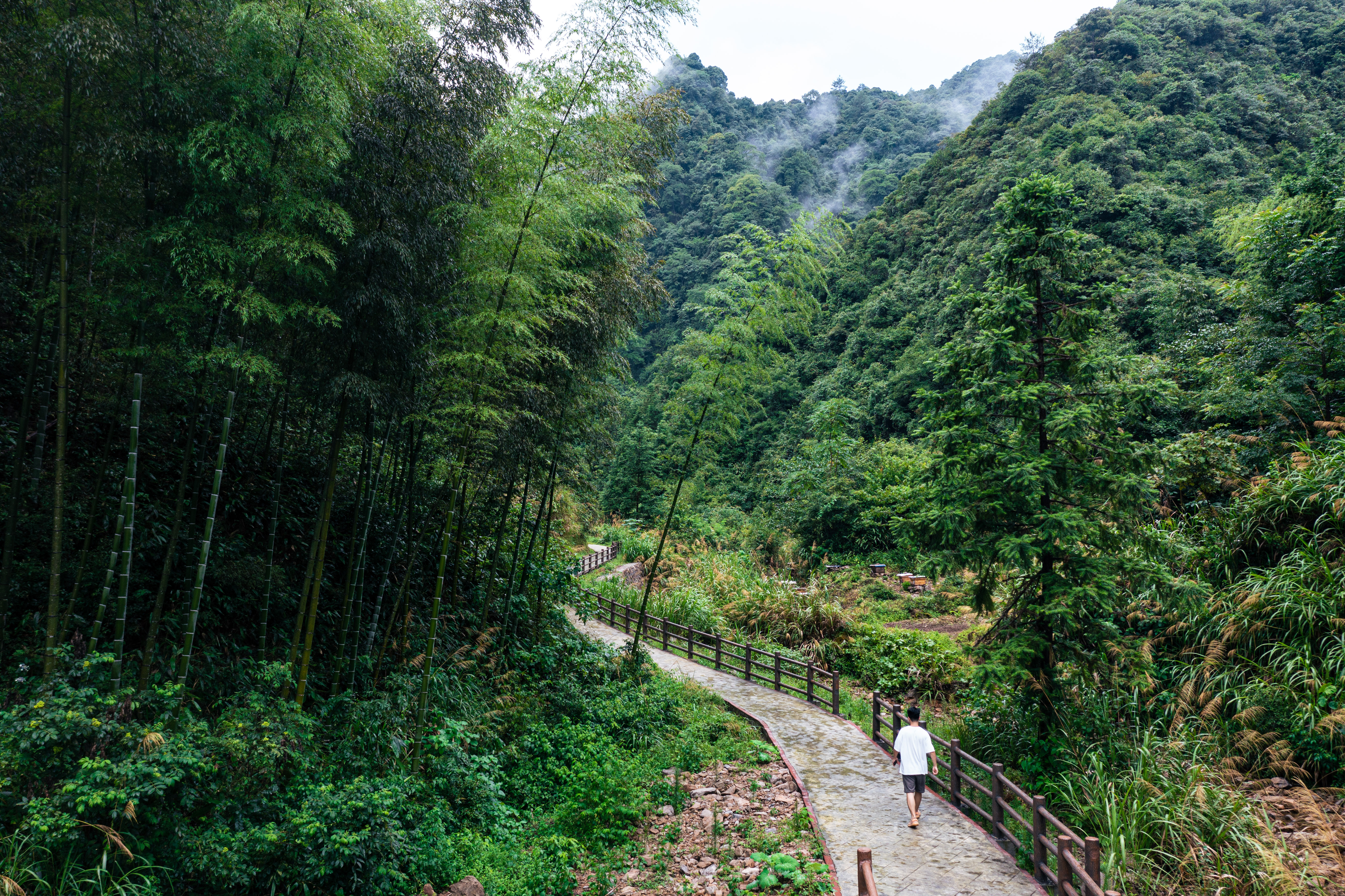 行游五府山：解密3宝，山野美味游走舌尖，传递平实的幸福