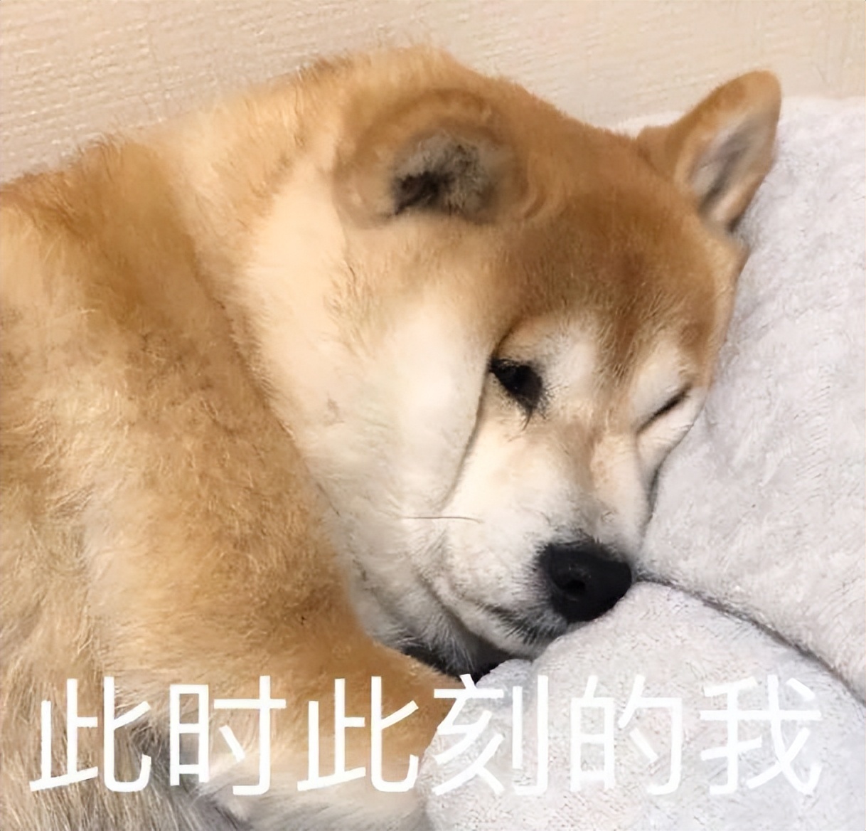 那些不经意的违法行为,那些不经意的举动