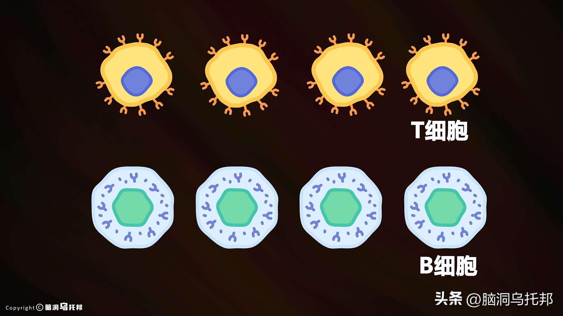 无症状感染是因为体质差吗,为什么有的人感染症状轻