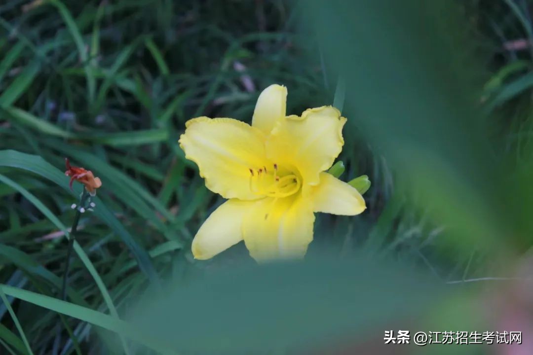 苏州农业职业技术学院全览,苏州农业职业技术学院综合信息网